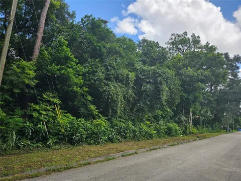 CARPENTER AVENUE