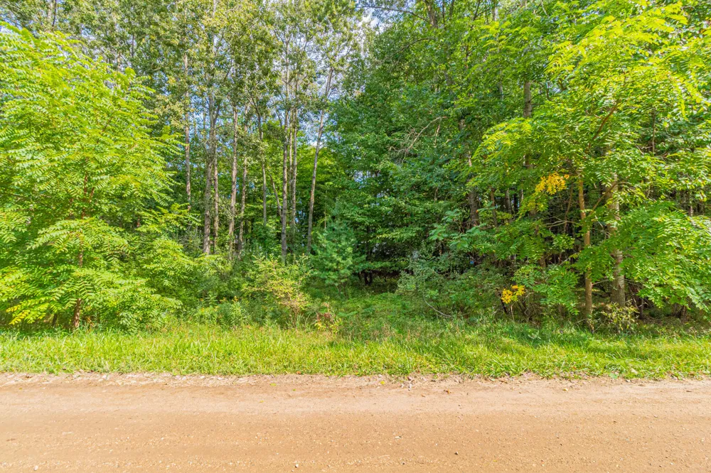 7574 9th Street Canadian Lakes, MI 49346