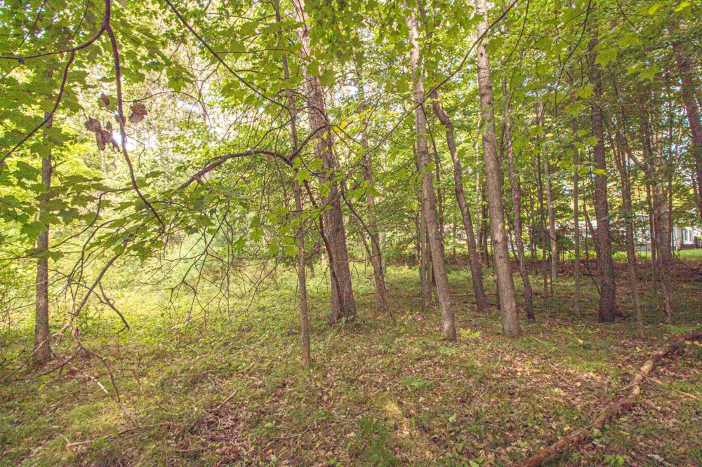 7574 9th Street Canadian Lakes, MI 49346