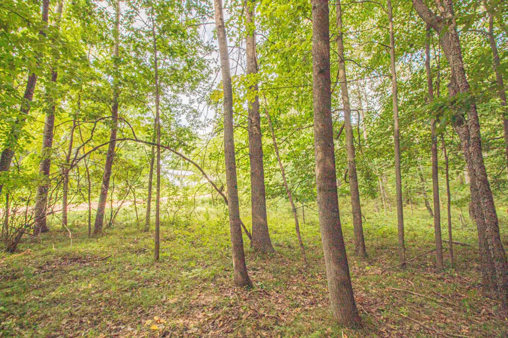 7574 9th Street Canadian Lakes, MI 49346
