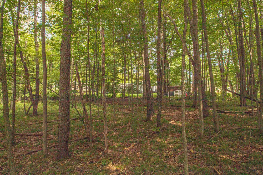 7574 9th Street Canadian Lakes, MI 49346