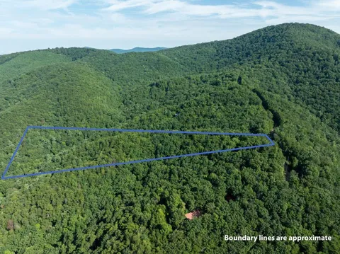 LOT 9 Brushy Top Drive