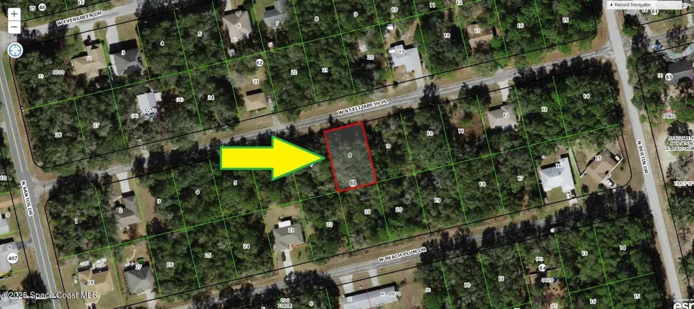 1580 W St Elizabeth Place Citrus Springs, FL 34434