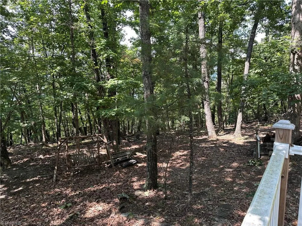 600 Dogwood Circle Traphill, NC 28685