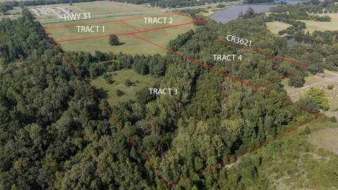 Tx-31