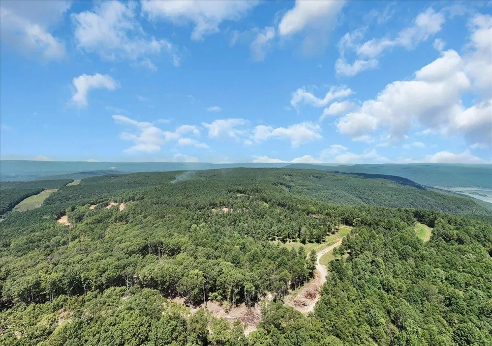 0 Musket Road Guild, TN 37340