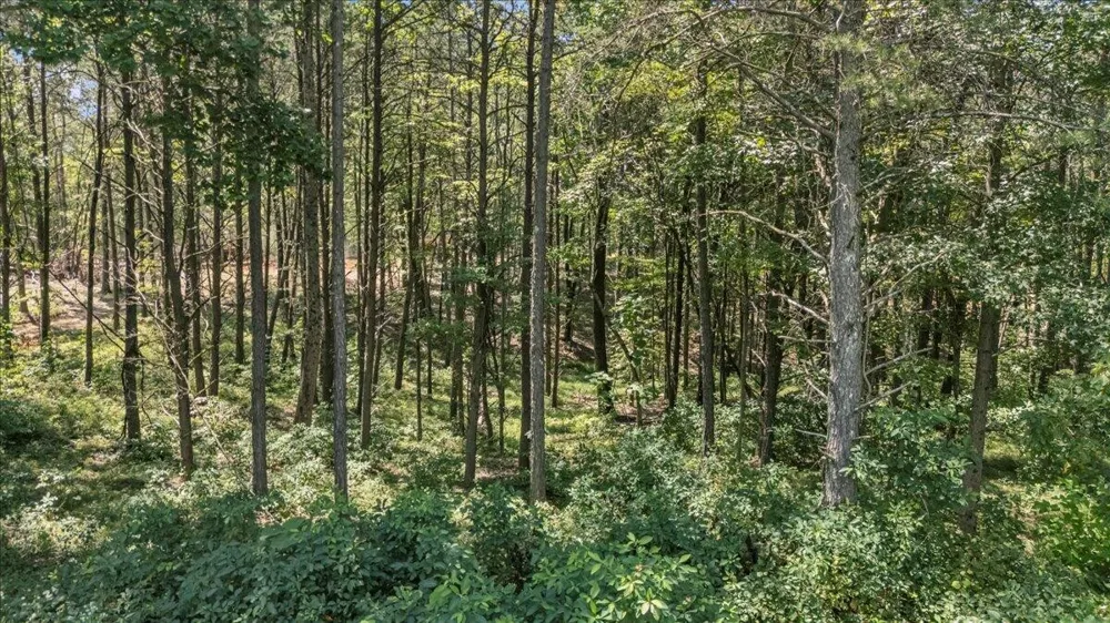 0 Musket Road Guild, TN 37340