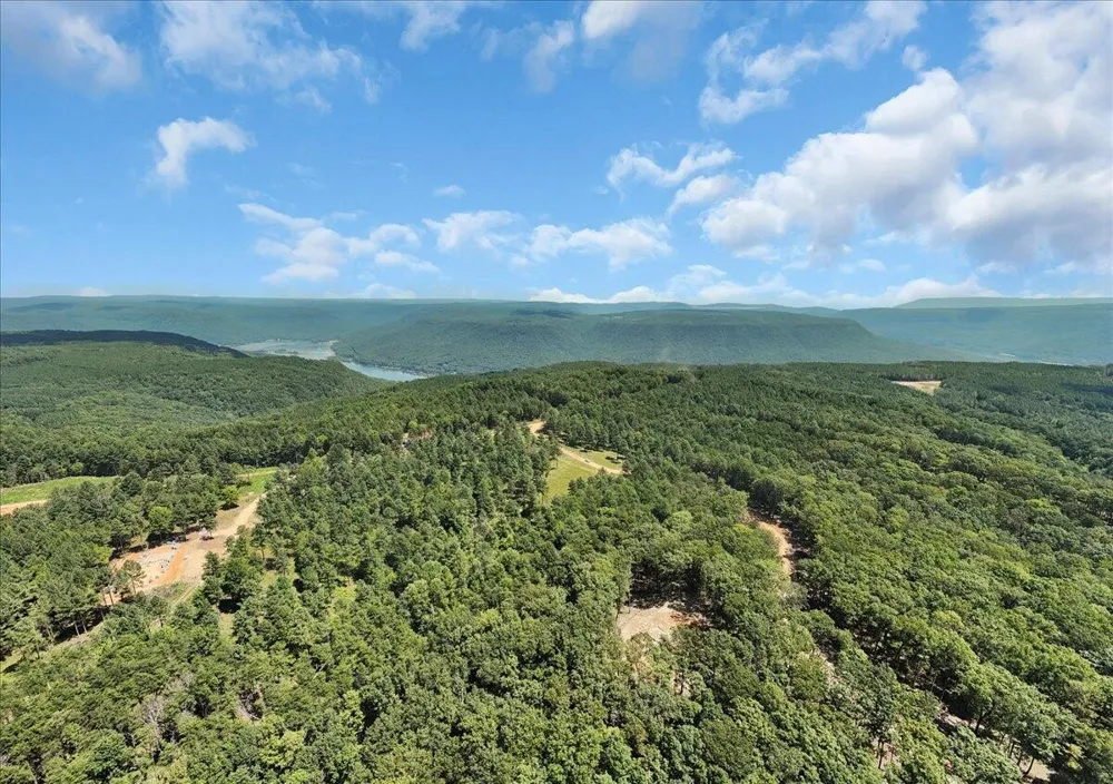 0 Musket Road Guild, TN 37340
