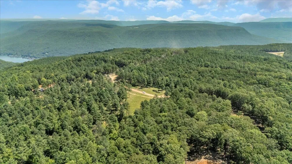 0 Musket Road Guild, TN 37340