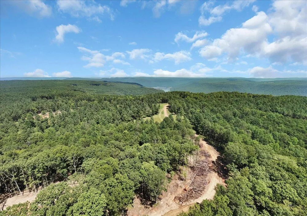 0 Musket Road Guild, TN 37340
