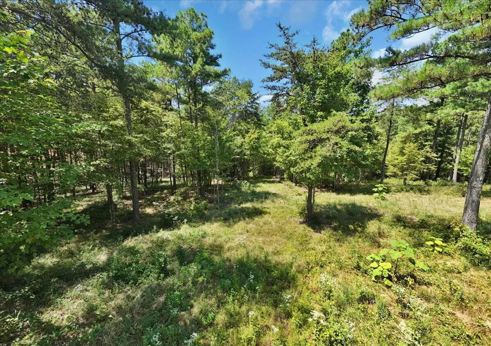 0 Musket Road Guild, TN 37340