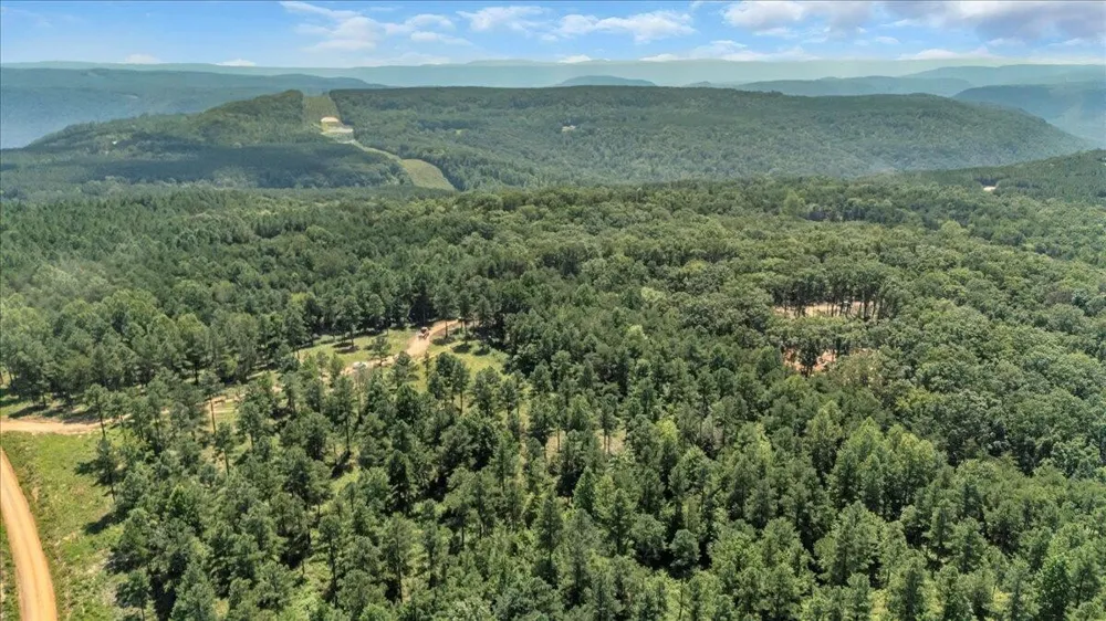 0 Musket Road Guild, TN 37340