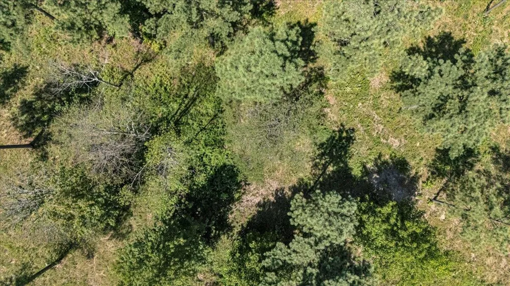 0 Musket Road Guild, TN 37340