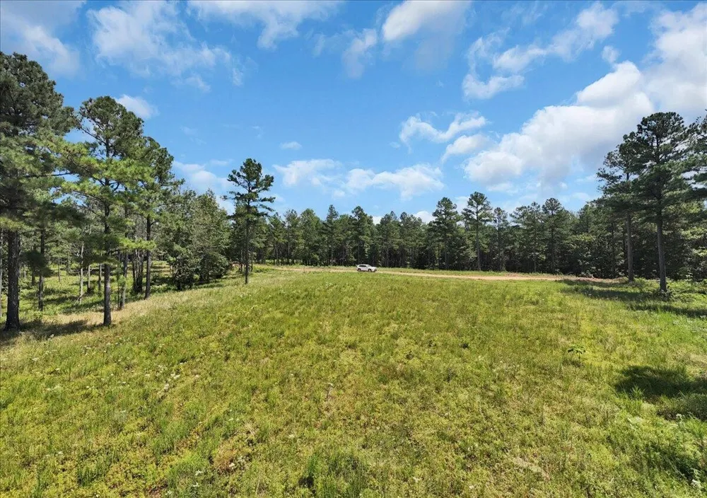 0 Musket Road Guild, TN 37340