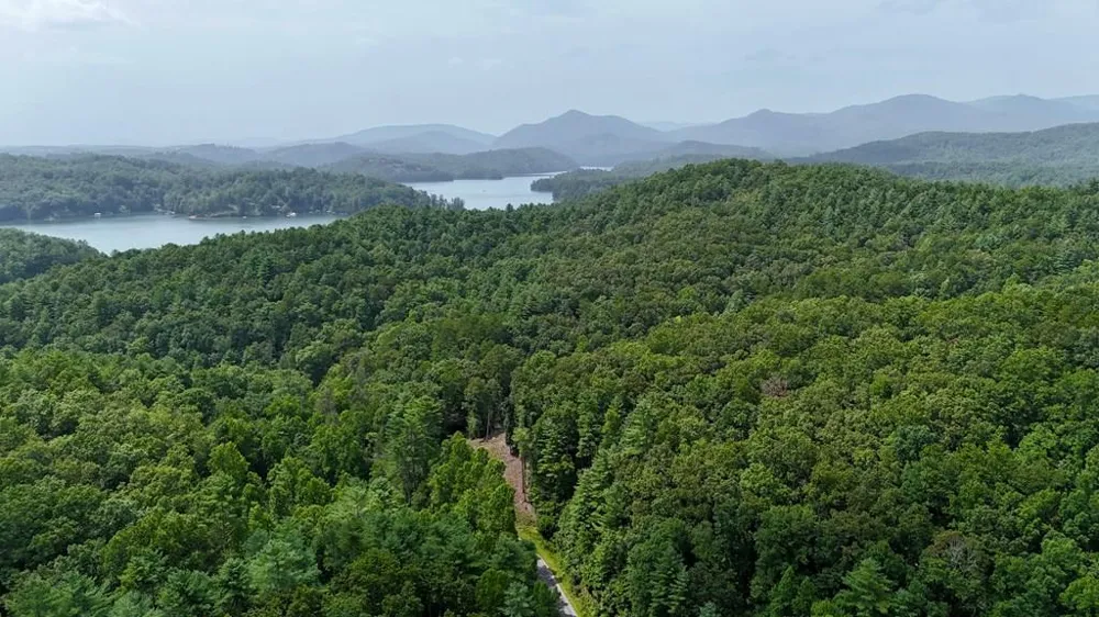 Jake Taylor Road Murphy, NC 28906