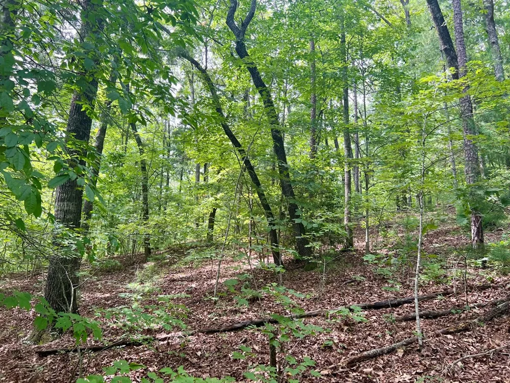 Jake Taylor Road Murphy, NC 28906