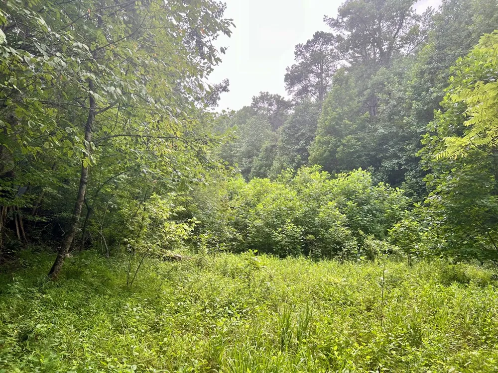 Jake Taylor Road Murphy, NC 28906