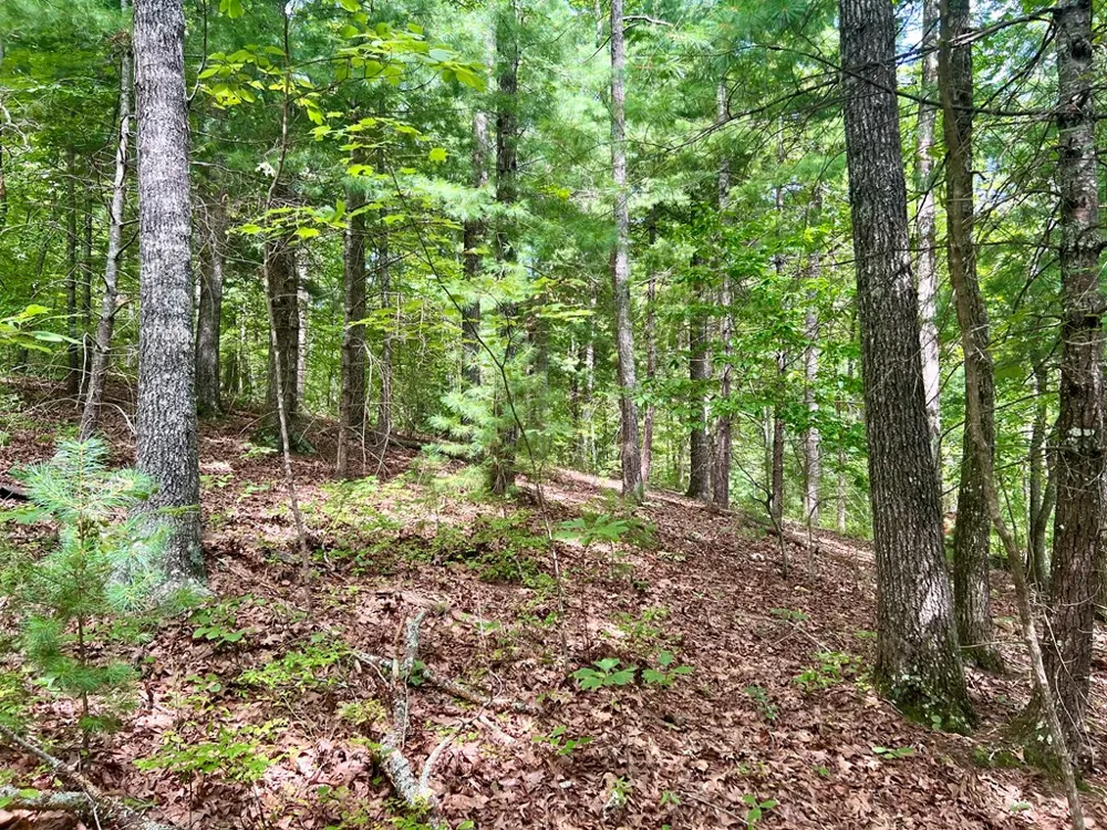 Jake Taylor Road Murphy, NC 28906