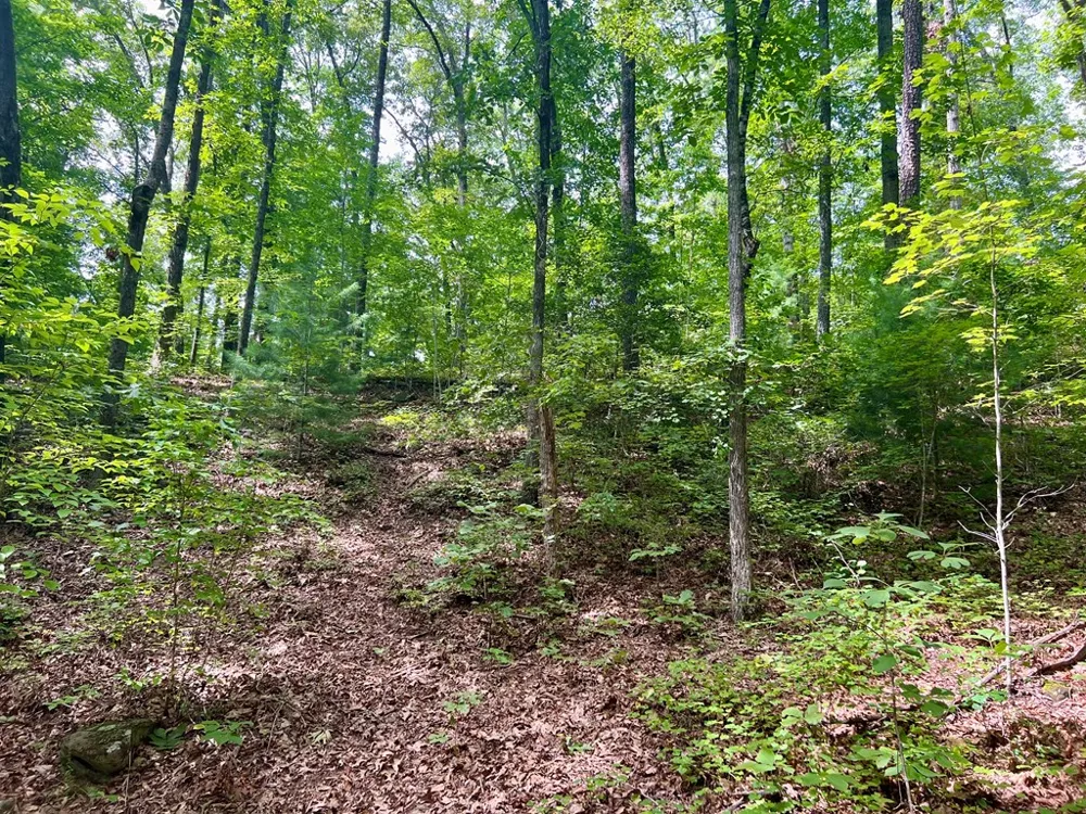 Jake Taylor Road Murphy, NC 28906