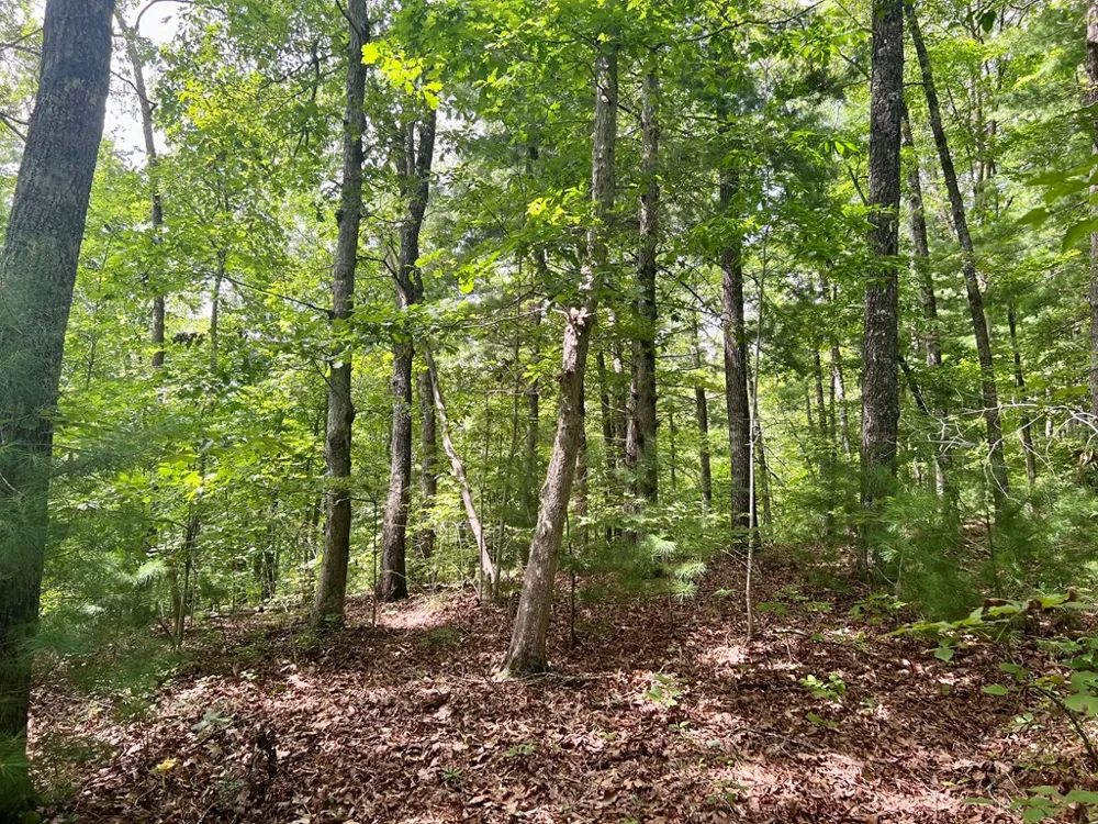Jake Taylor Road Murphy, NC 28906