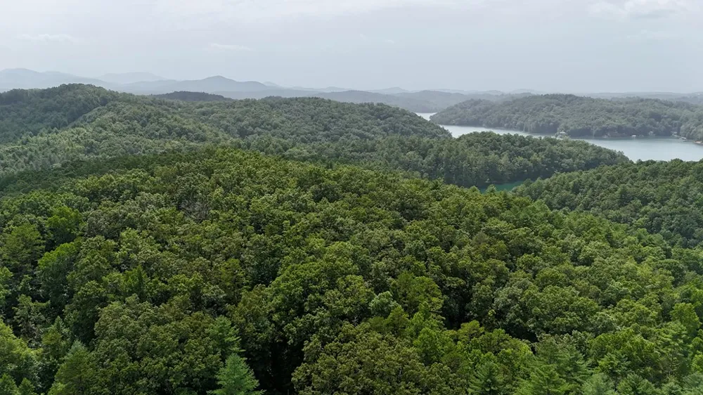 Jake Taylor Road Murphy, NC 28906