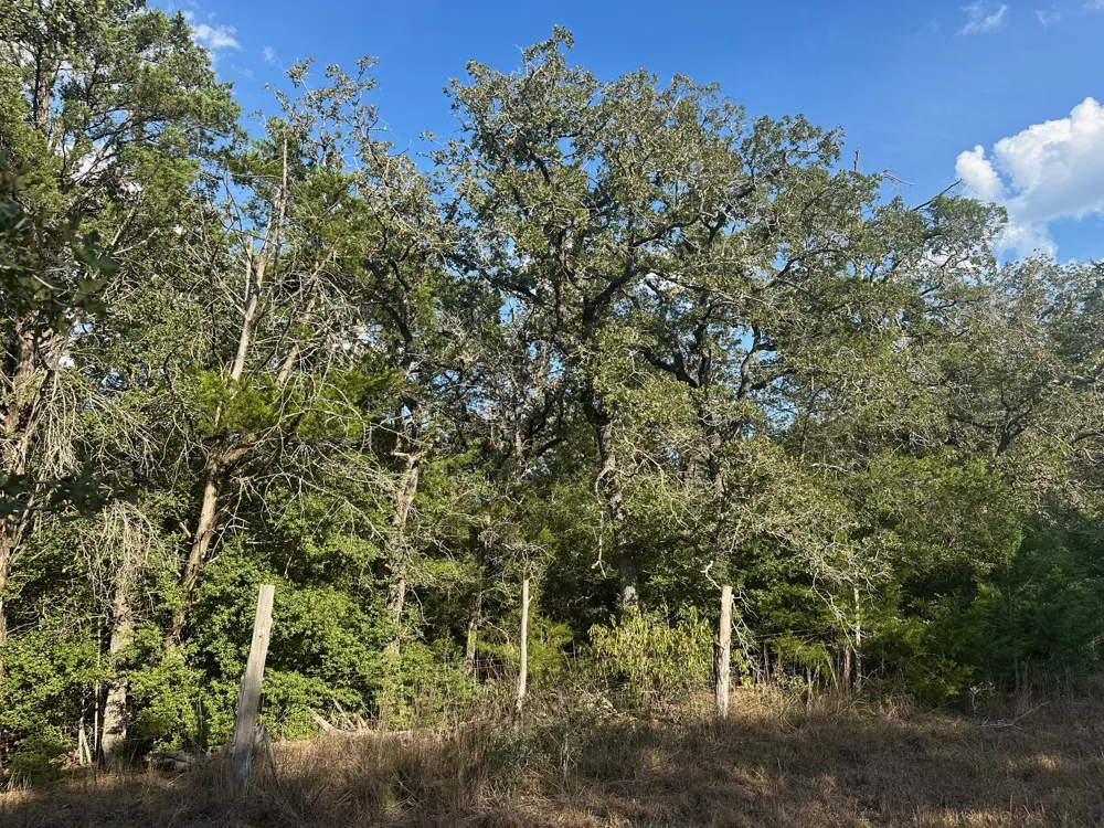 Rook Road West Point, TX 78963