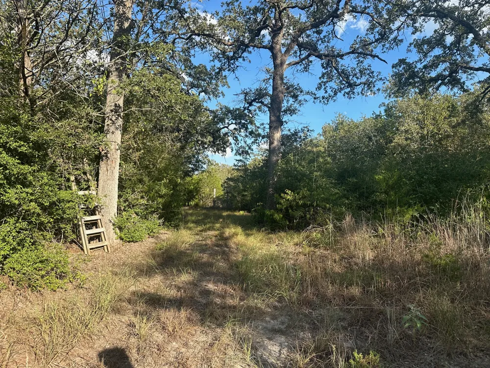Rook Road West Point, TX 78963