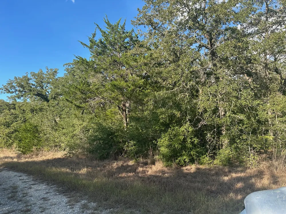 Rook Road West Point, TX 78963
