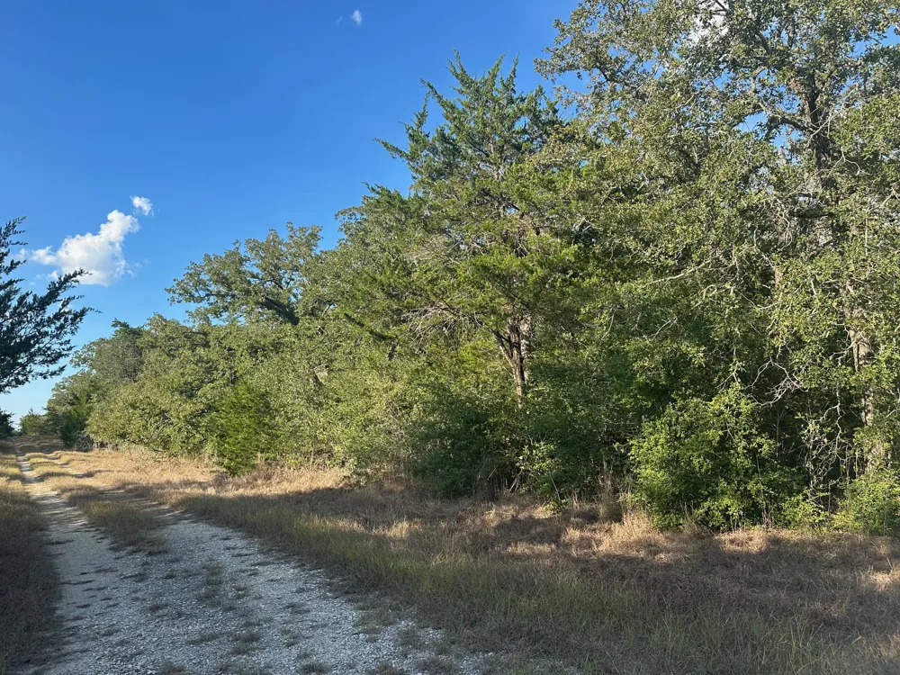 Rook Road West Point, TX 78963