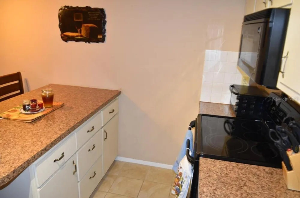 4365 TAHITIAN GARDENS CIRCLE #C Holiday, FL 34691