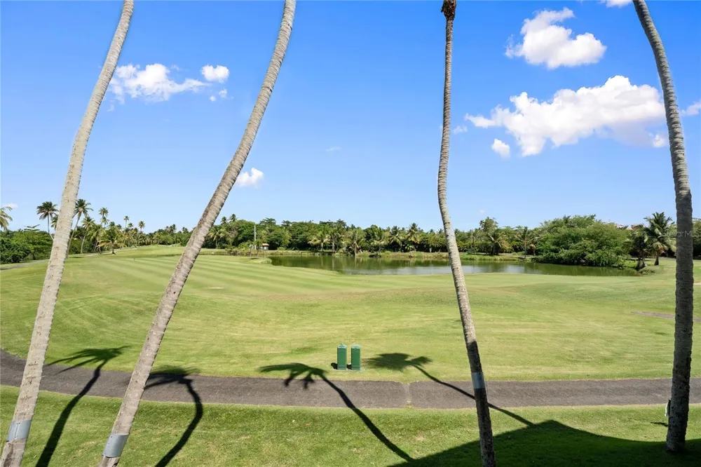 155 Candelero Dr. NE CANDELERO DRIVE #C - 4 Humacao, PR 00791