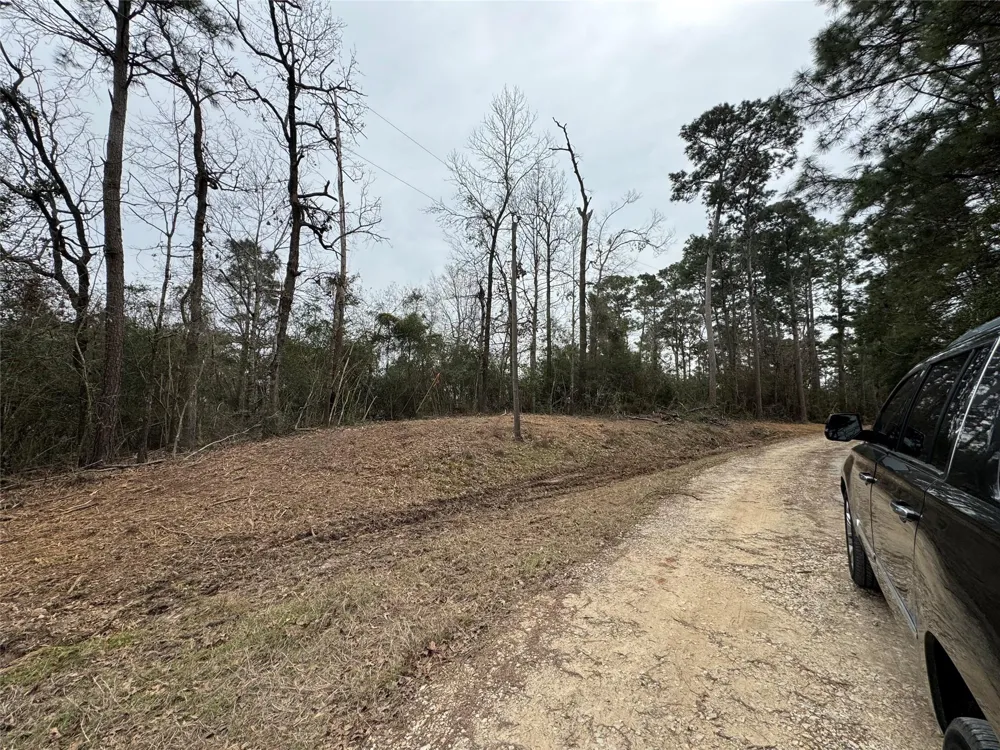 69 Wildwood Harbor Circle Onalaska, TX 77360