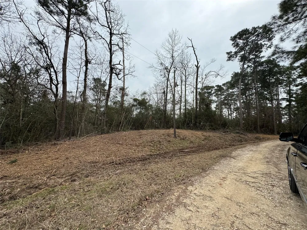 69 Wildwood Harbor Circle Onalaska, TX 77360