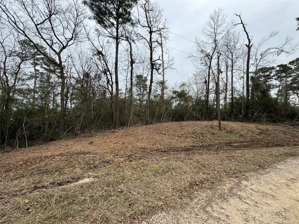 69 Wildwood Harbor Circle Onalaska, TX 77360