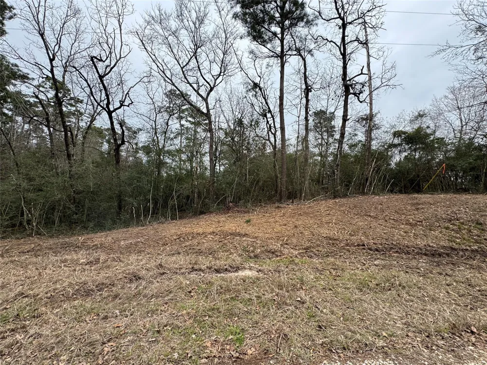 69 Wildwood Harbor Circle Onalaska, TX 77360