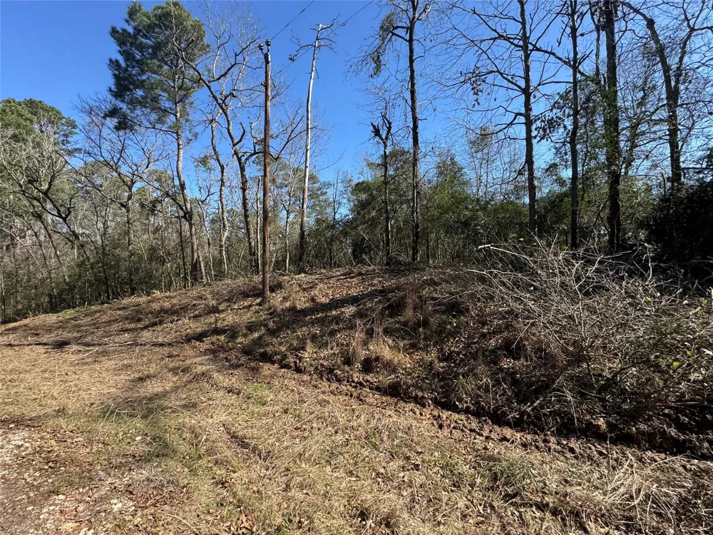 69 Wildwood Harbor Circle Onalaska, TX 77360