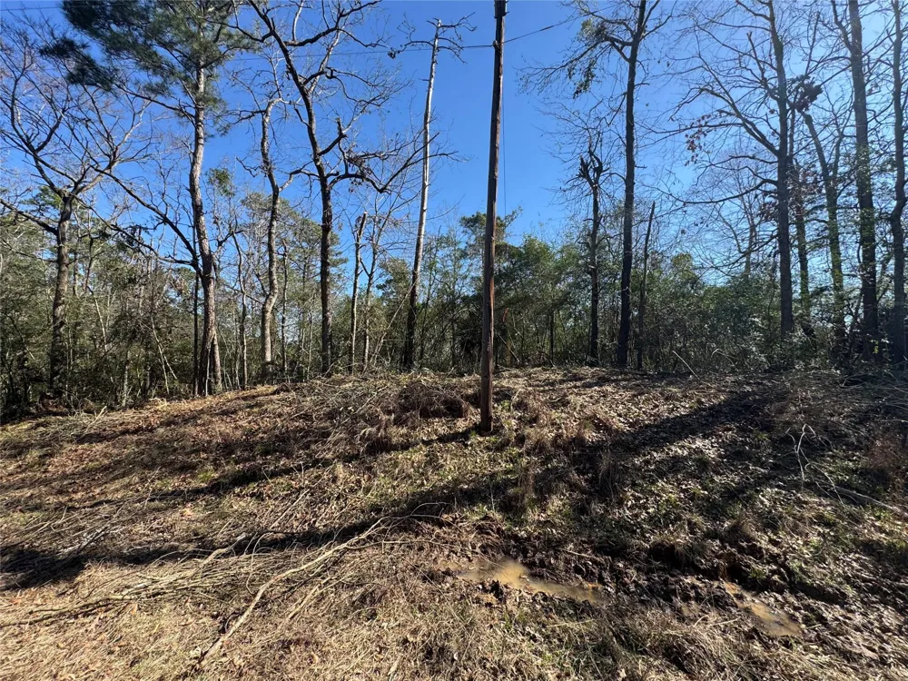 69 Wildwood Harbor Circle Onalaska, TX 77360