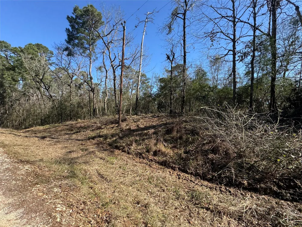 69 Wildwood Harbor Circle Onalaska, TX 77360