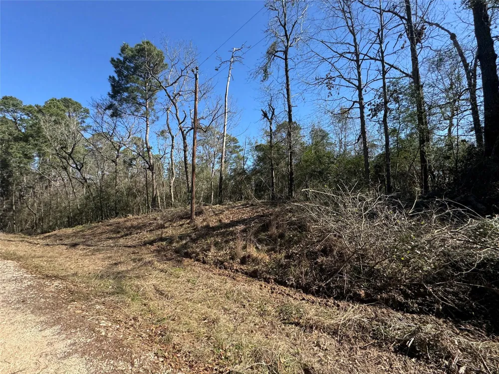 69 Wildwood Harbor Circle Onalaska, TX 77360