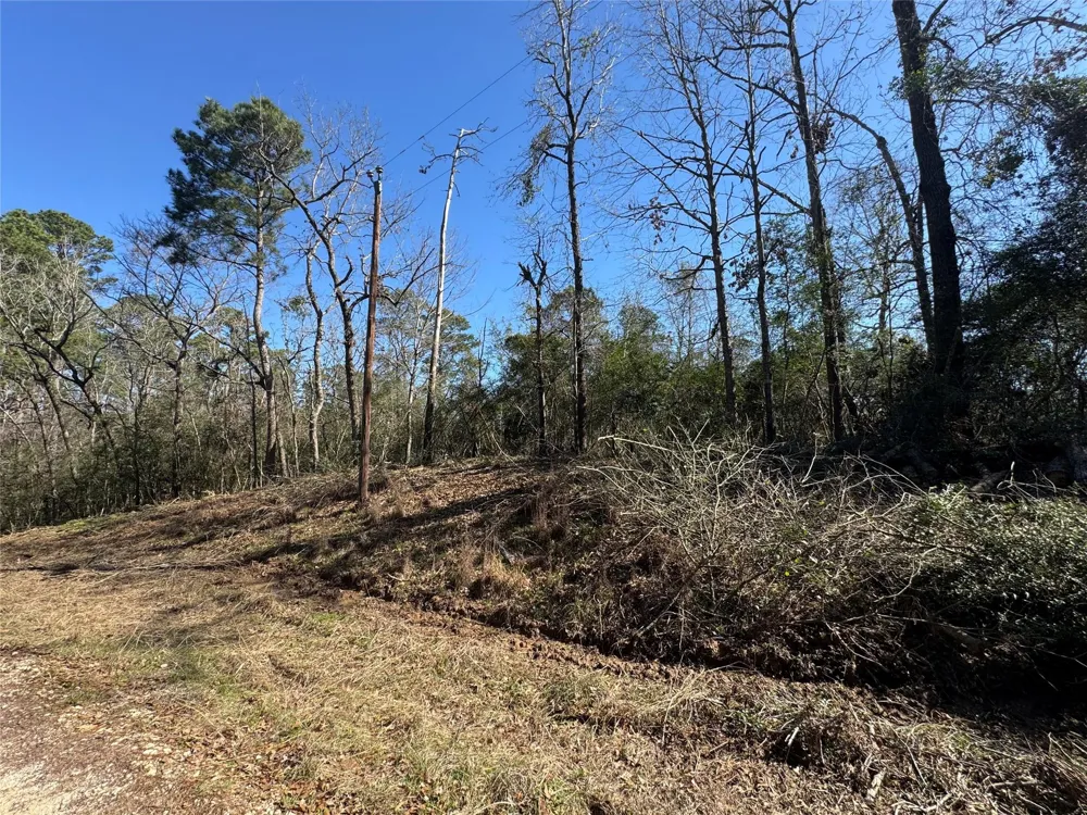 69 Wildwood Harbor Circle Onalaska, TX 77360