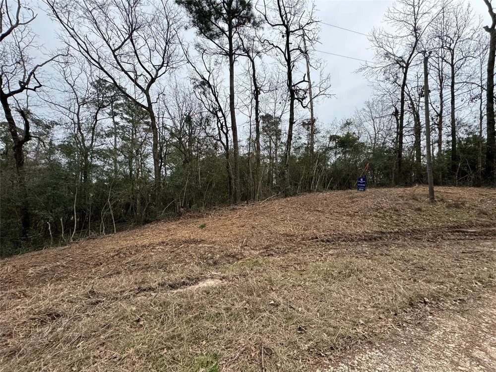 69 Wildwood Harbor Circle Onalaska, TX 77360