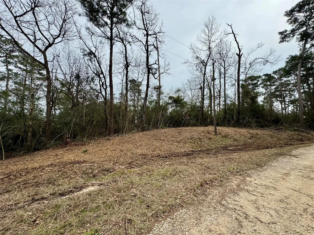 69 Wildwood Harbor Circle Onalaska, TX 77360