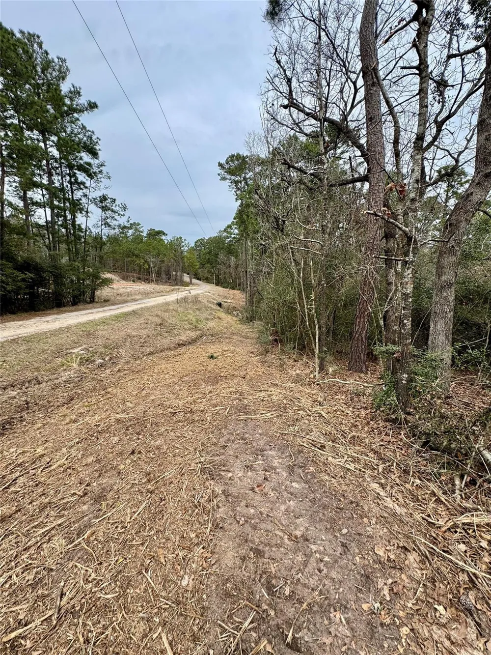 69 Wildwood Harbor Circle Onalaska, TX 77360