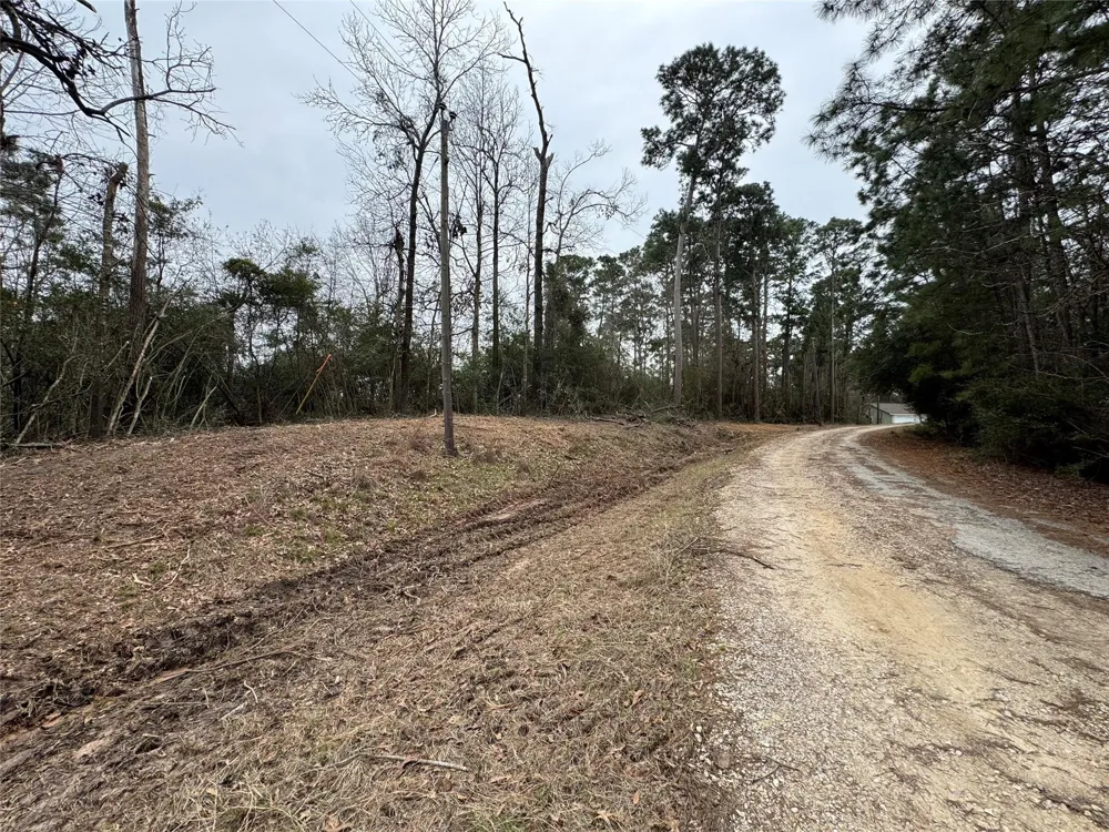 69 Wildwood Harbor Circle Onalaska, TX 77360
