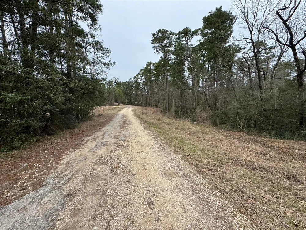 69 Wildwood Harbor Circle Onalaska, TX 77360