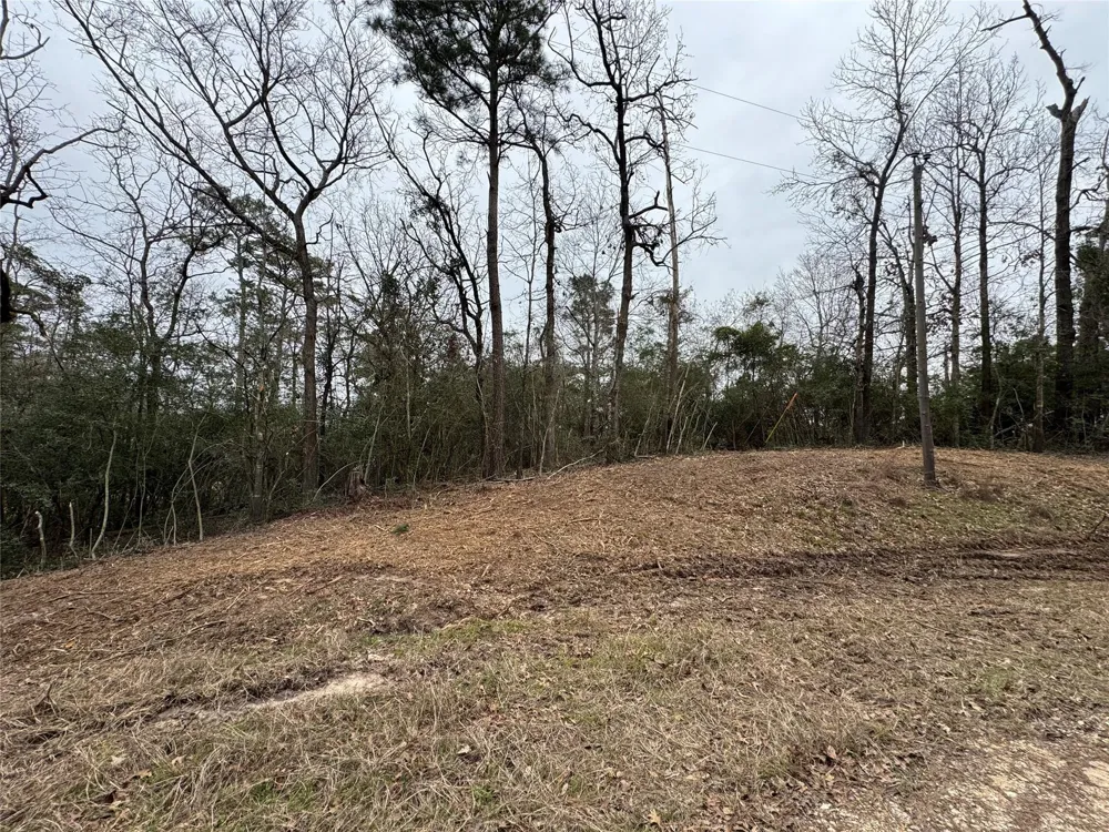 69 Wildwood Harbor Circle Onalaska, TX 77360
