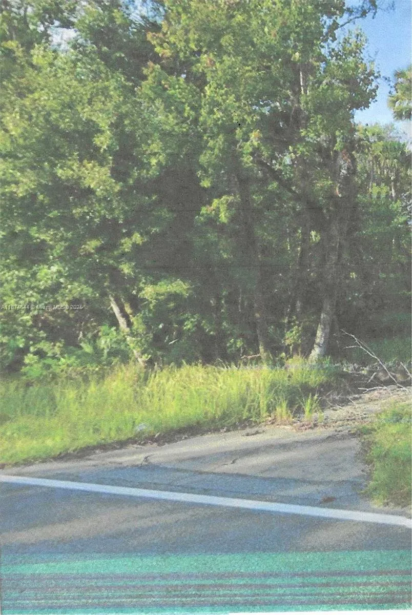 Adair Road Davenport, FL 33837
