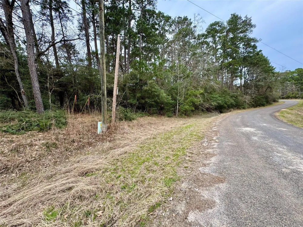 93 Whisperwood Drive Onalaska, TX 77360