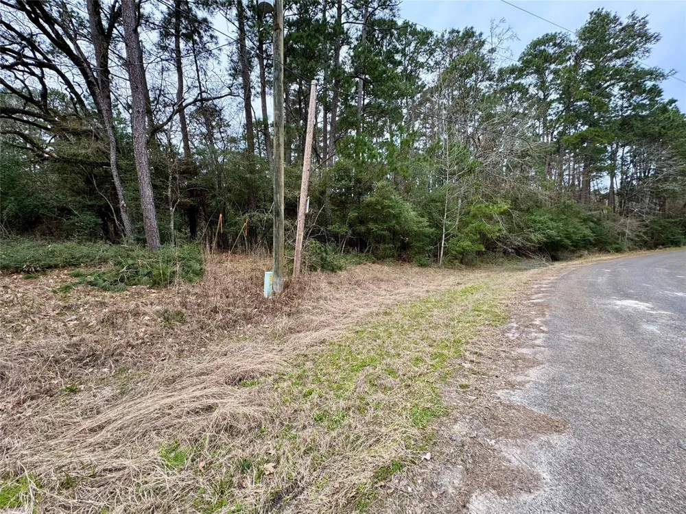 93 Whisperwood Drive Onalaska, TX 77360