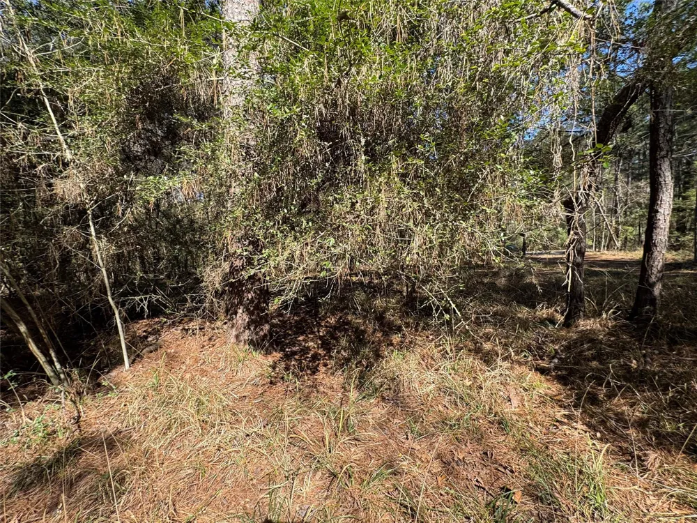 107 Whisperwood Drive Onalaska, TX 77360
